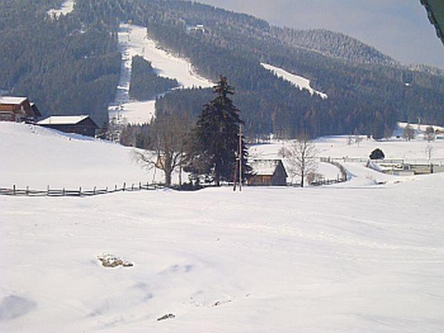 Appartement Alpenblume Schladming Eksteriør billede
